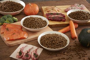 營(yíng)養(yǎng)健康咨詢 2019年度寵物食品行業(yè)的核心盈利增長(zhǎng)點(diǎn)